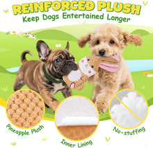 Load image into Gallery viewer, Dog Toys to Keep Them Busy, 3 Pack No Stuffing Interactive Dog Toys with Crinkle, Squeaky Puppy Chew Toys